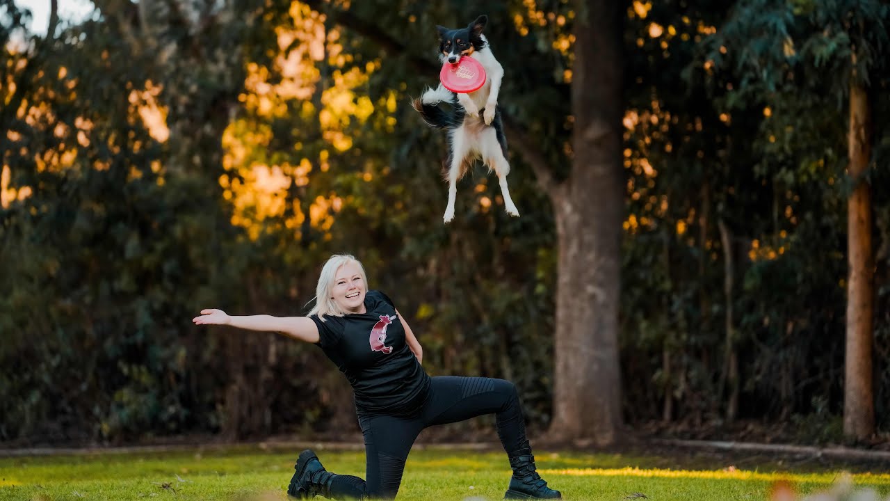 Flare ~ 2024 Skyhoundz Classic MicroDog Qualifier (Dropless FS Round)