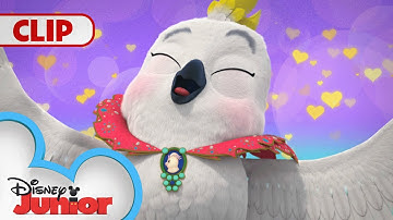 My Bath, My Bubbles and Me 🛁 🎶 | SuperKitties | Music Video |  | @disneyjunior