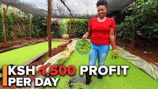 She turned Azolla into a Profitable Business I The NEW Agribusiness Money Maker #Mary Ikigu