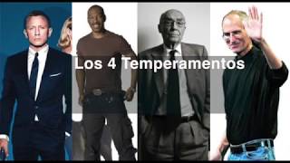 Temperamentos el equipo perfecto screenshot 3