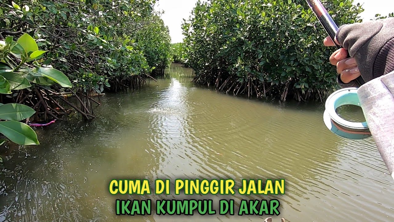 Tau Gitu Mancing Di Sini Saja !!! Ikan Rame Bergerombol