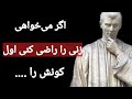 کاش این سخنان ممنوعه و شگفت انگیز ماکیاولی را زودتر شنیده بودم تا در زندگی ازشون استفاده می کردم   نجومي