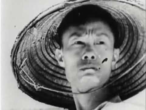 1964: Victory at Dien Bien Phu still