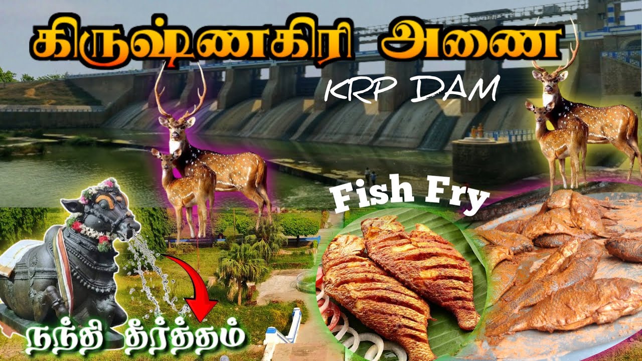 கிருஷ்ணகிரி அணை / KRP Dam / Krishnagiri Dam / One Day Trip / Fish Curry 🍛 Fish fry / Family / Lover