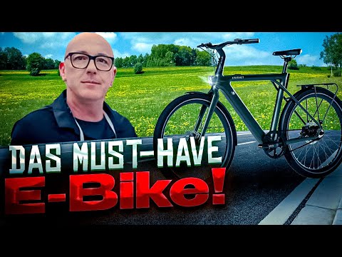 E-Bike Tenways CGO009: