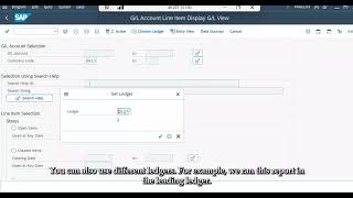 SAP31- Line Items & Line Item Browser (FAGLL03)