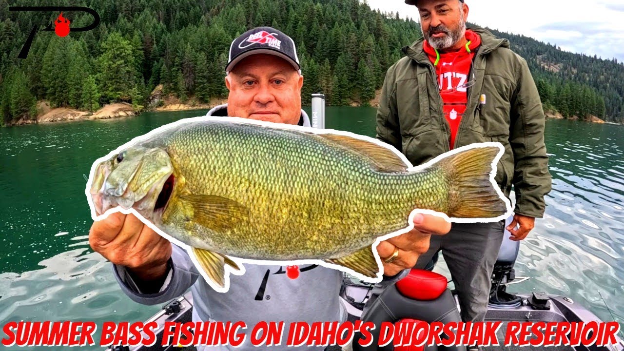 Dworshak Reservoir Summer Bass Fishing