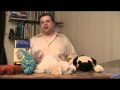 Dog Training Book - Dog Training Tips Dog Training Book - Dog Training Tips
