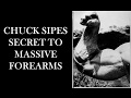 CHUCK SIPES' SECRET TO MASSIVE FOREARMS! THE SIPES WRIST CURL!