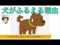 【獣医師がやさしく解説】犬がふるえる理由〜先生、ウチの子が震えているけど大丈夫？　大丈夫なふるえとは〜　Causes Of Tremor In Dogs