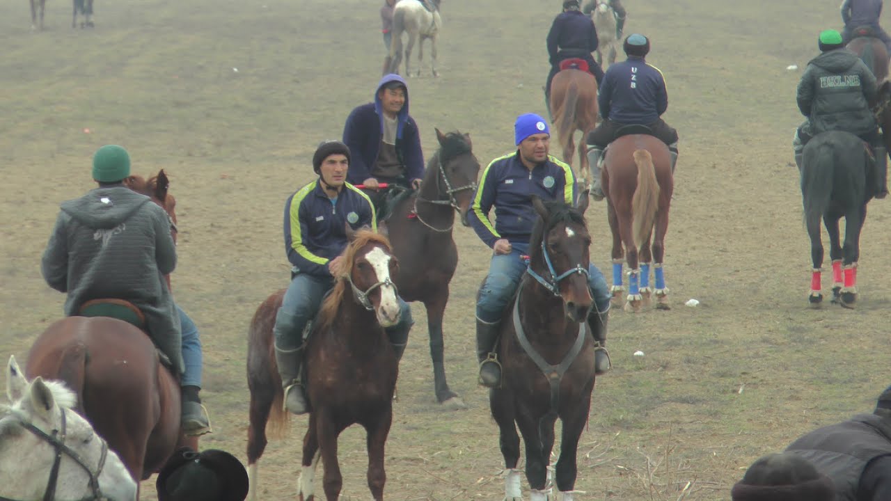 Mirzaobod tumanining Otbozu Polvonlarining yig'ma ko'pkarisi.