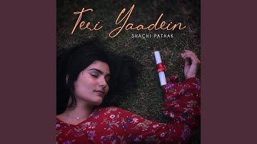 Teri Yaadein