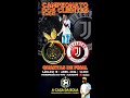 Quartas de finais spac bool