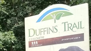 HIKING IN CANADA/DUFFINS TRAIL/GREENWOOD CONSERVATION/DURHAM TRAILS/ONTARIO TRAILS/FAMILY HIKE
