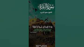 خواتيم سورة البقرة | سعود الشريم