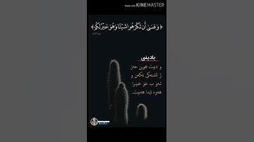 سورة البقرة آية 216