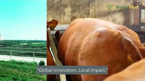 Know every animal, Grow every herd