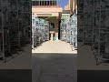 الشمس الجميلة لطيورك الرائعة