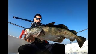 ABADEJO XL del Cantabrico!! Pesca a JIGGING!