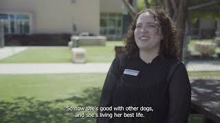Art of Adoption - Short Film Documentary