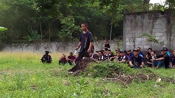Goyangan lucu new pallapa live jombang