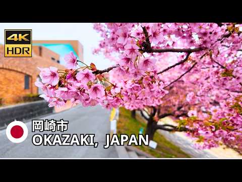 Early Cherry Blossoms in Japan – Okazaki Sakura Walk • 4K HDR