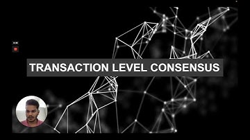 What is Transaction Level Consensus?