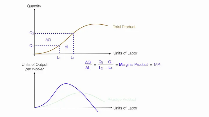 Introduction to Production Introduction (Average Product, Marginal Product, Total Product)