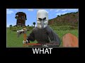 Minecraft wait what meme part 125 realistic minecraft Vindicator