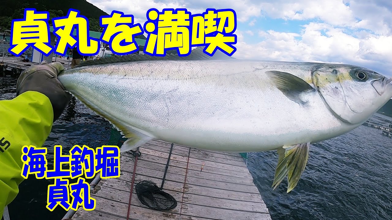 海上釣堀 真鯛もシマアジもサイズがデカイ 海上釣り堀貞丸を堪能する 一緒に楽しめる仲間がいるって素敵 Youtube