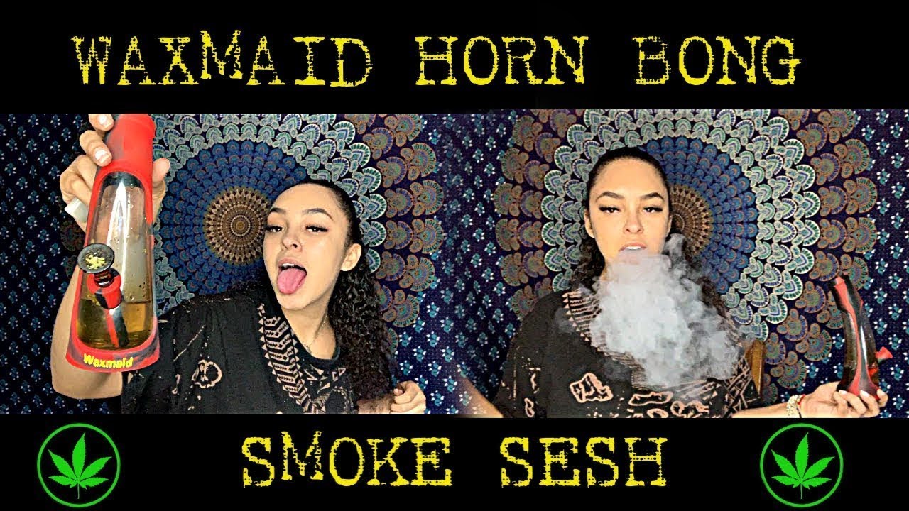 WAXMAID HORN SILICONE GLASS WATER PIPE BUBBLER