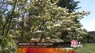 Doctors Say Summer Allergy Season Is Worse Than Usual