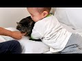 １歳の赤ちゃんが初めて猫の名前を呼ぶとこうなりました