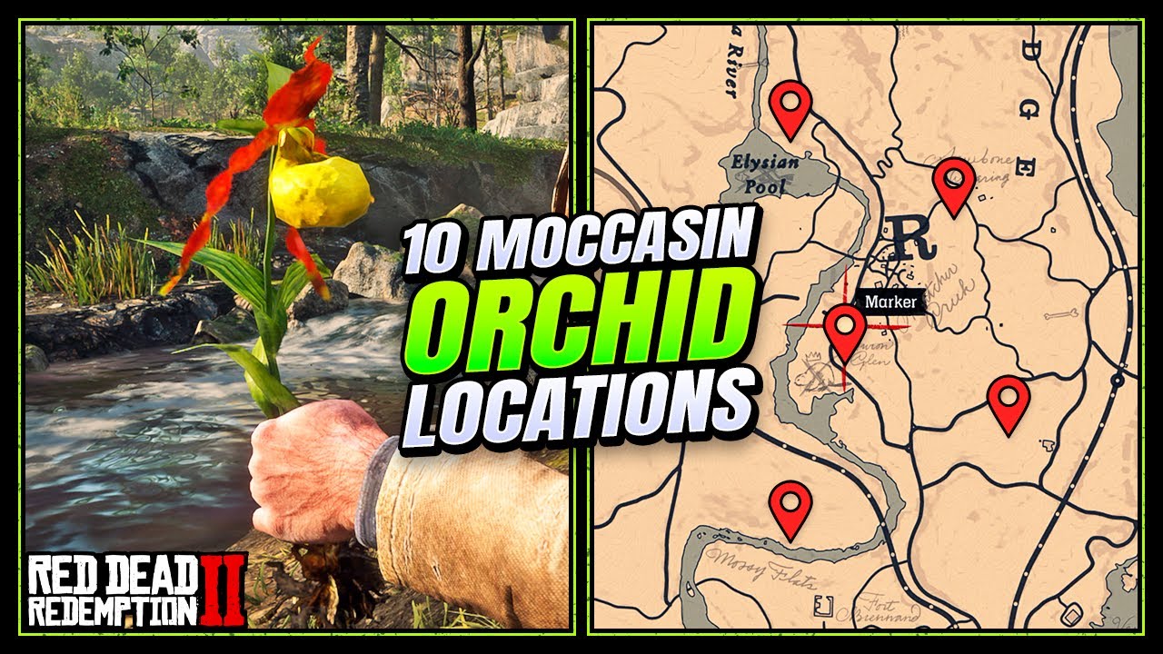 RDR2: Moccasin Orchid Locations - FAST & EASY Guide (Duchesses & Other ...