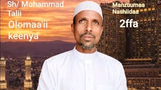 Shemohammad Taliil Manzuumaanashiidaa Afaan Oromo 2026