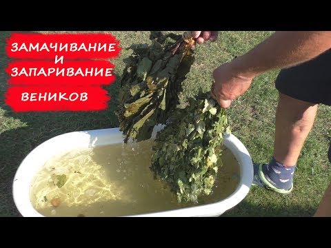 Как замачивать и запаривать веник для бани!