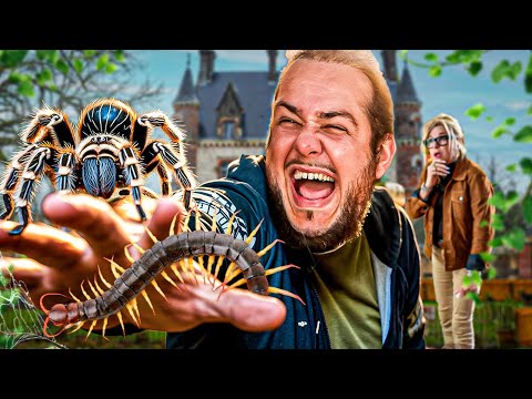 Des mygales GEANTES au château ! (ft. Ma mère)