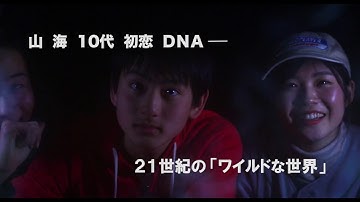 映画『ワイルドツアー』予告編