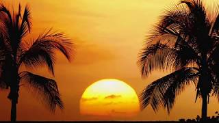 MagiCXbeats - Maui Reflection