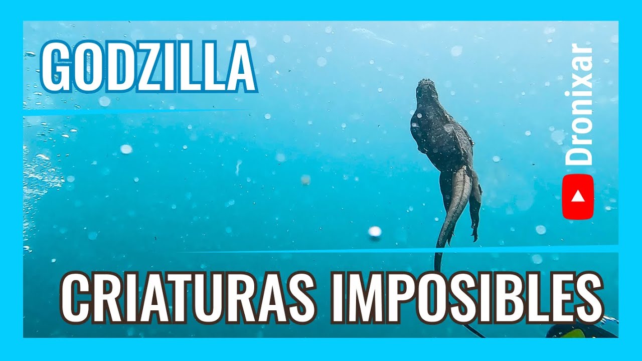 Animales Imposibles Galapagos - Parte 5 - 4k UHD