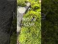 Nature ASMR