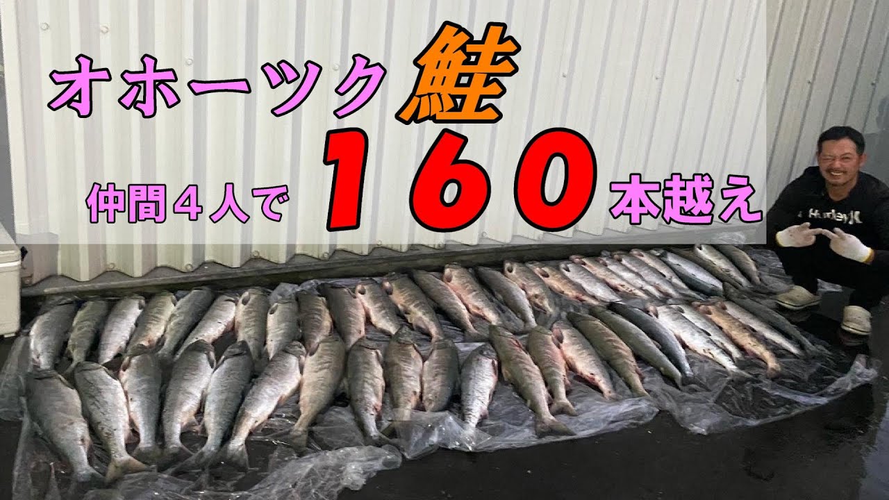 鮭釣り ４人で１６０本越え オホーツク遠征 Youtube