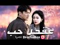 عقد بلا حب مدبلج Dramabox 