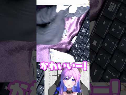 【#shorts 】ガチャプラモ完成したと思ったら……⁉️【#切り抜き 】