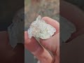 three lil Bangers!! #rockhounding #crystals #quartzcrystal #quartz #treasure #nature