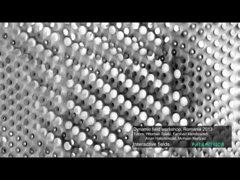Dynamic Fields Workshop, Romania 2013, Interactive Fields