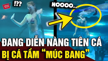 Đang đóng giả làm 