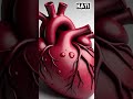 FAKTA HATI MANUSIA, KERINGAT KUDA, DAN SUARA BEBEK #shortvideo #faktaunik #fakta #faktadunia