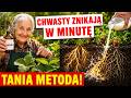 CHWASTY ZNOWU WRACAJĄ? / TEN TRIK SĄSIADKI WYPLENIA JE W 5 MINUT!