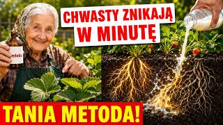 CHWASTY ZNOWU WRACAJĄ? / TEN TRIK SĄSIADKI WYPLENIA JE W 5 MINUT!